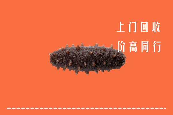 攀枝花高价回收海参