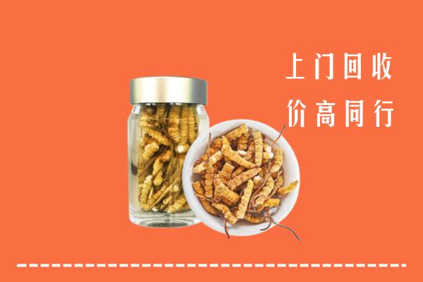 高价求购：攀枝花回收冬虫夏草